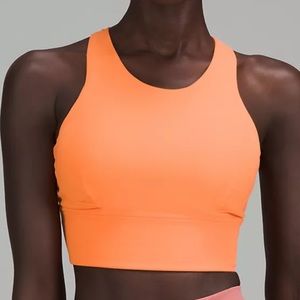 NWT wonder train long line bra size 8